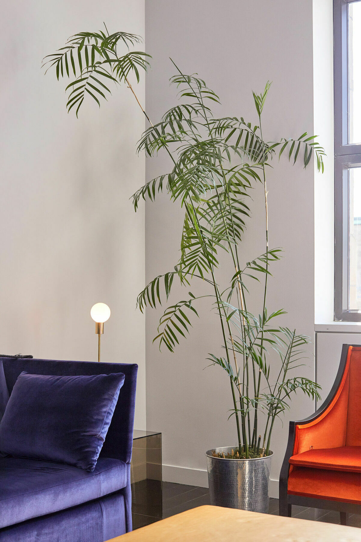 Hotel St Paul, Montreal, A Member Of Design Hotels Интерьер фото